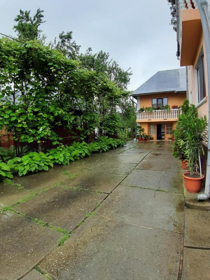 Pensiunea Covaciu Vadu Izei Exterior foto