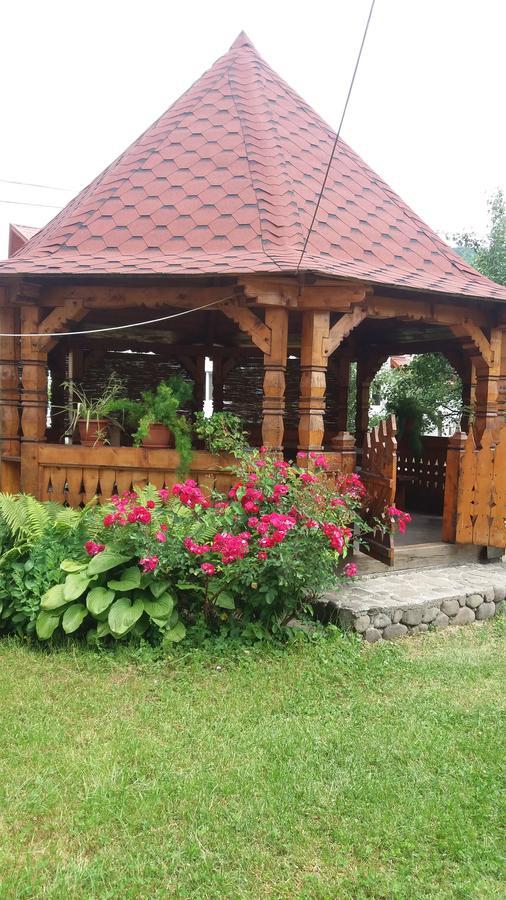 Pensiunea Covaciu Vadu Izei Exterior foto